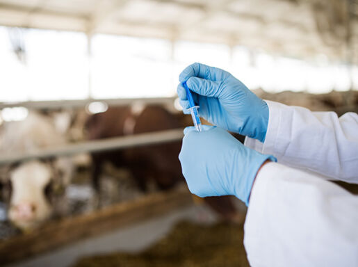 Pharma-Header-Livestock-01